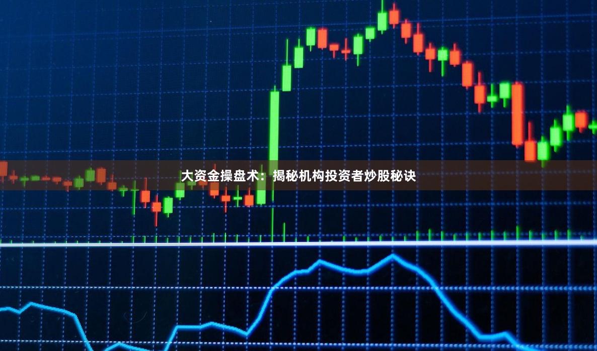 大资金操盘术：揭秘机构投资者炒股秘诀