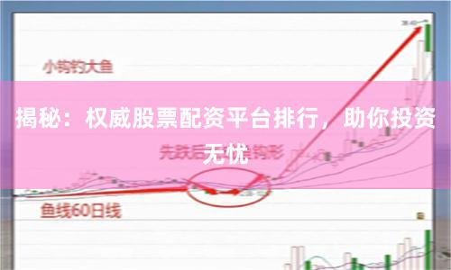 揭秘：权威股票配资平台排行，助你投资无忧
